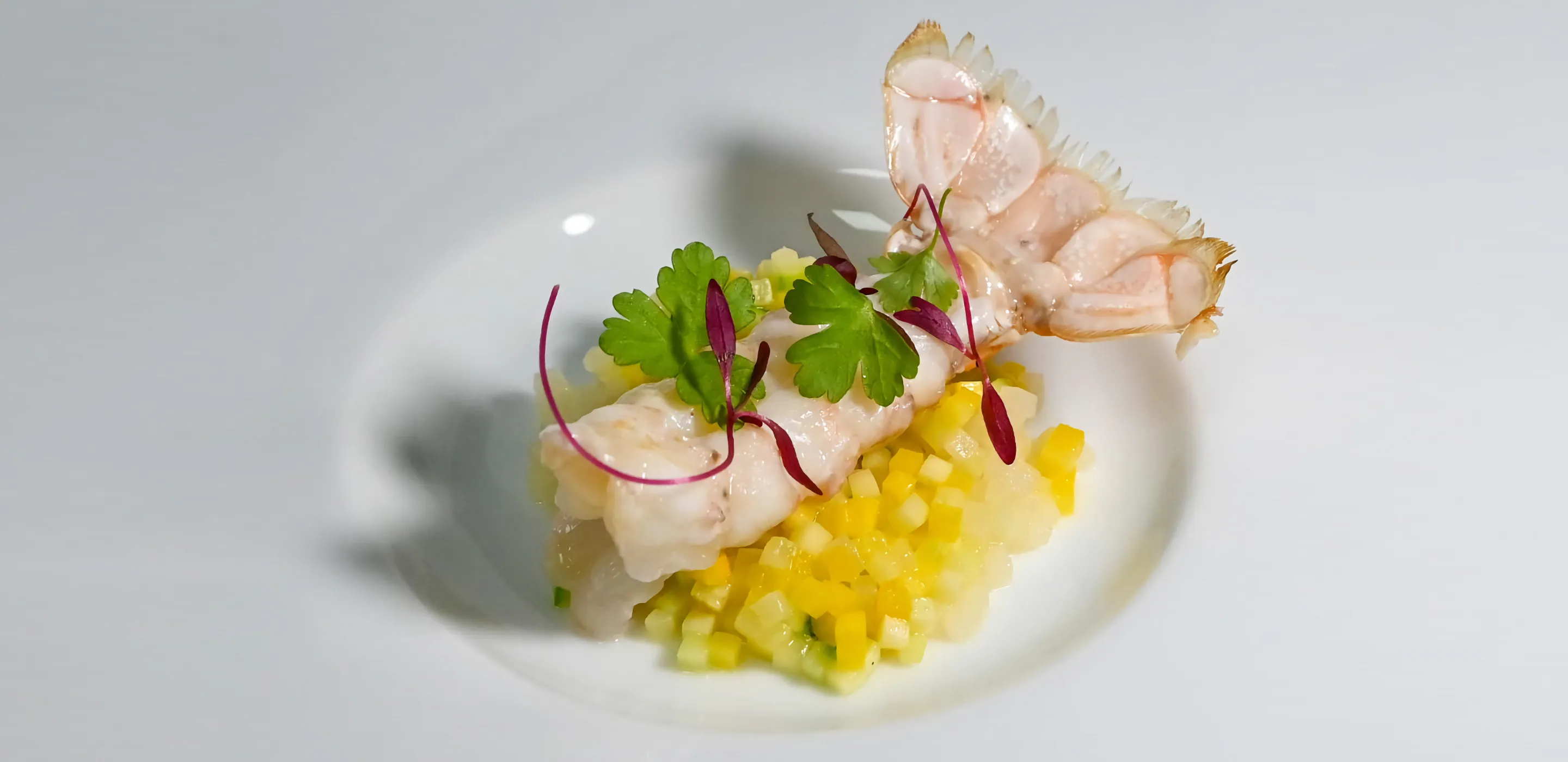 Curated menu from Cilantro